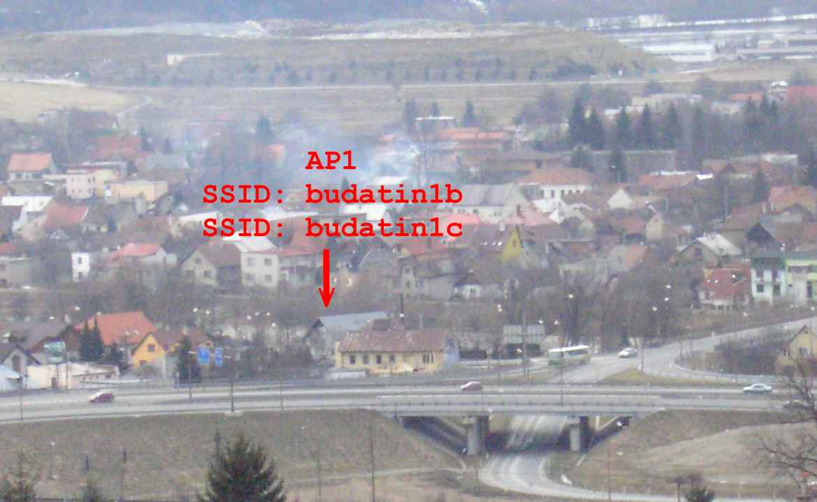 AP budatin1b a budatin1c pre horny Budatin